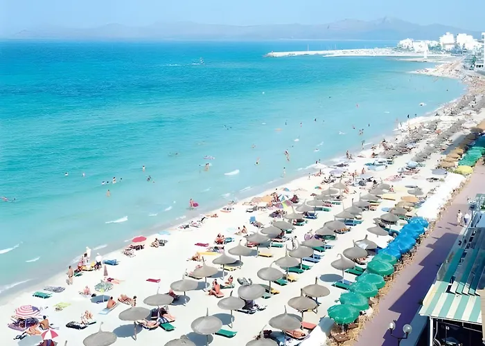 Wonderful 坎皮卡福特