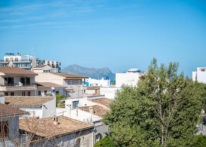 Wonderful * 坎皮卡福特